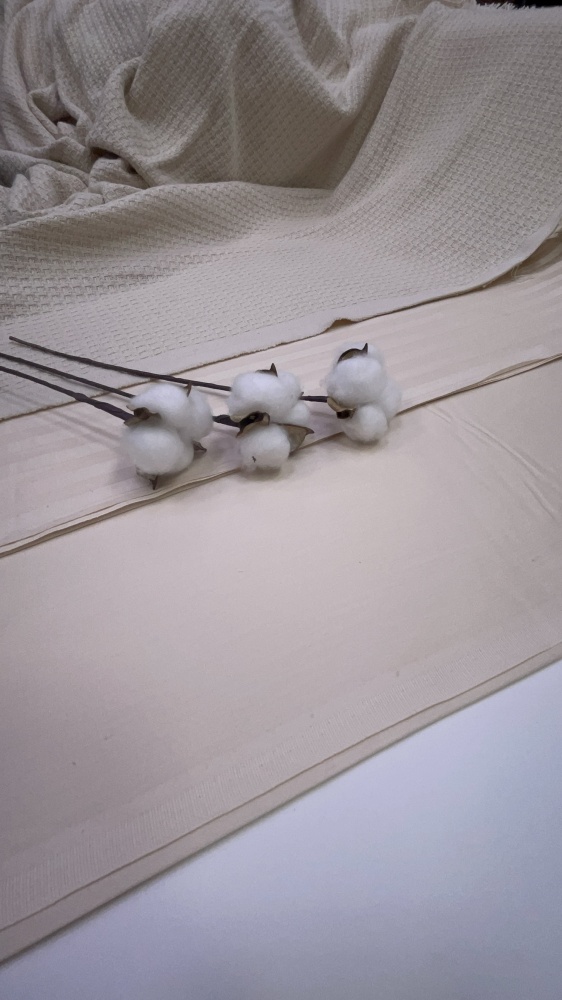 картинка Вязаное полотно ПБ191 от магазина Компания "Бенефис