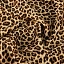 Леопард